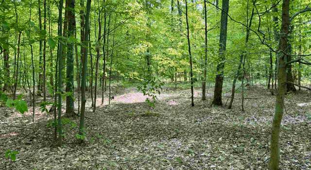 Photo of 00 Honeybee Rd Lot : B, Empire, MI 49621