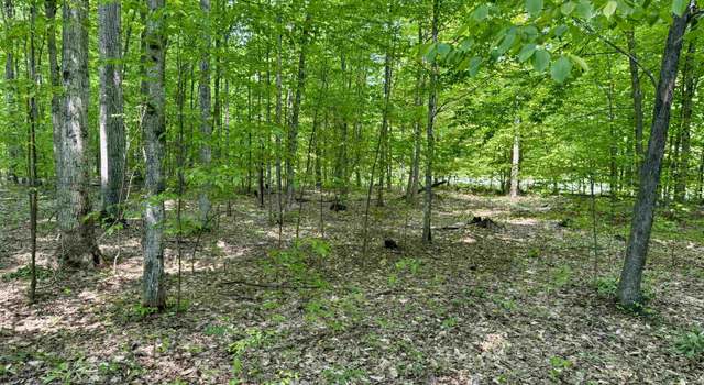 Photo of 000 Honeybee Rd Lot : C, Empire, MI 49630
