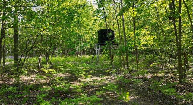Photo of 2351 S 10 Mile Rd, Breckenridge, MI 48615