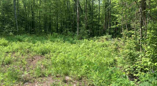 Photo of TBD Hoop n Holler Rd, Bergland, MI 49910