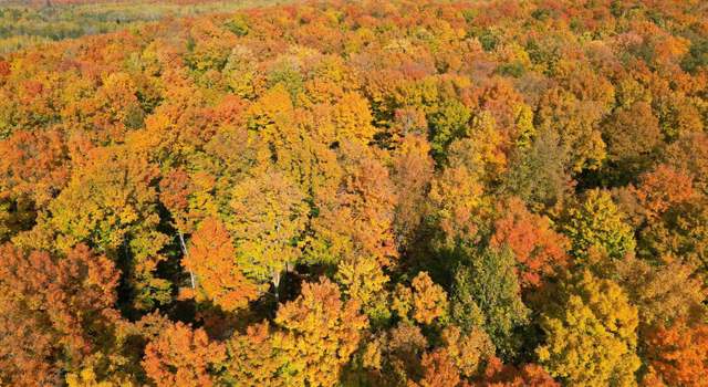 Photo of TBD Off Old CC RD 80 Rd, Vulcan, MI 49892