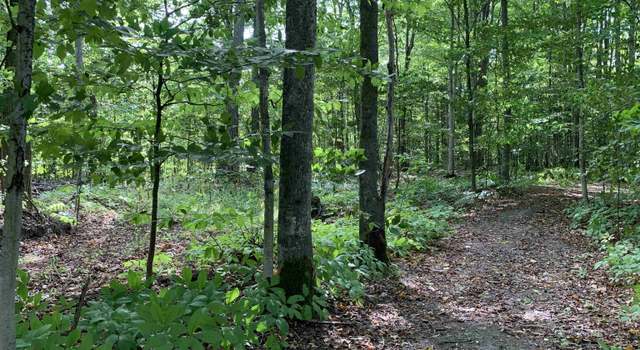 Photo of 00 Keiser Rd, Levering, MI 49755