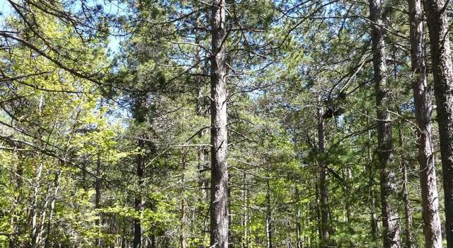 Photo of TBD N Afoafos Trl, Grand Marais, MI 49839