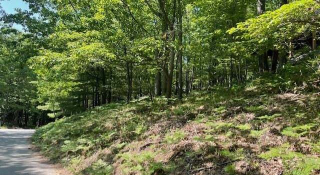 Photo of 17 Loggers Run Subdivision Unit The Homestead, Glen Arbor, MI 49636