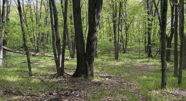 Photo of Lots 383, 384 Dogwood Ln, Farwell, MI 48622