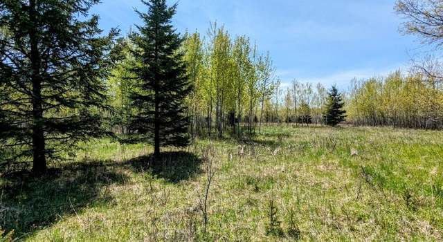 Photo of Lot 14 Willow St Lot 14, Gaastra, MI 49927