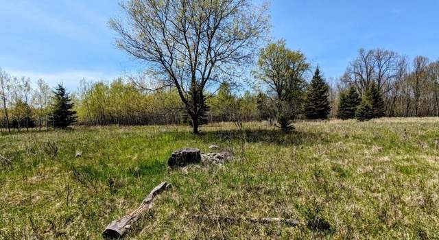 Photo of Lot 19 Willow St Lot 19, Gaastra, MI 49927
