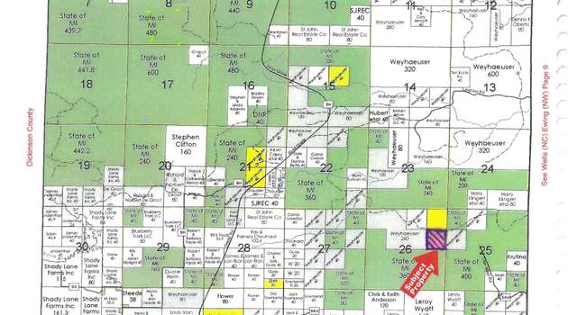 Photo of TBD Off CR 557 Rd, Arnold, MI 49819