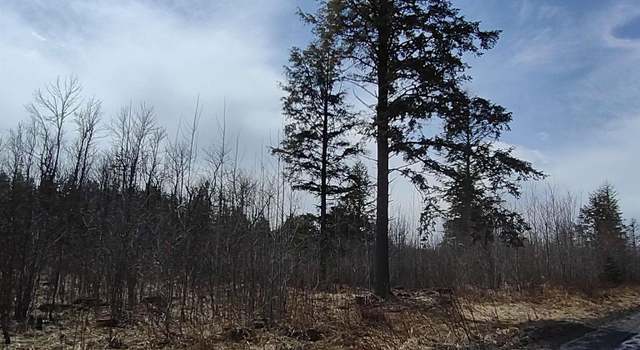 Photo of TBD Nelson Rd, L'anse, MI 49946