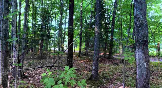 Photo of TBD EEK Rd, Gwinn, MI 49841