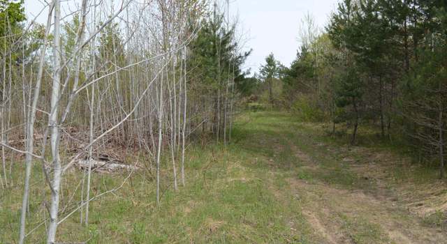 Photo of Spencer Rd Lot : 18&19, Kalkaska, MI 49646