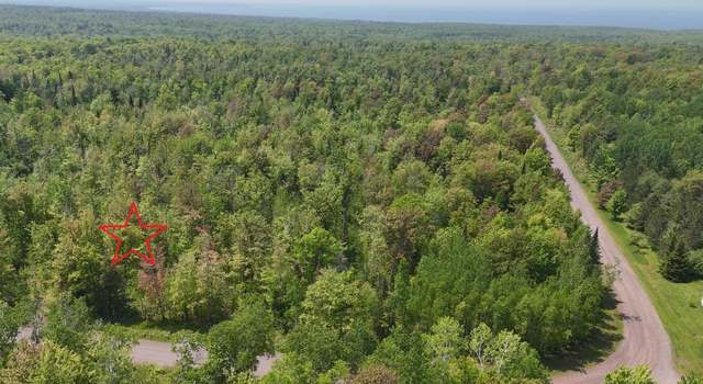 Photo of TBDE Old Rink Rd, Stanton Township, MI 49965
