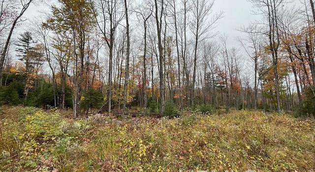 Photo of 120 Acres Cardinal Red Rd, Michigamme, MI 49861