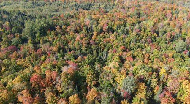 Photo of tbd Newberry Rd, Pelkie, MI 49958