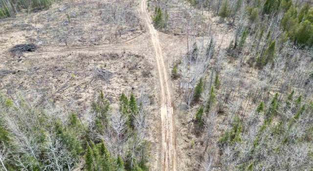 Photo of TBD Off CR 426 40 Rd, MI 49818