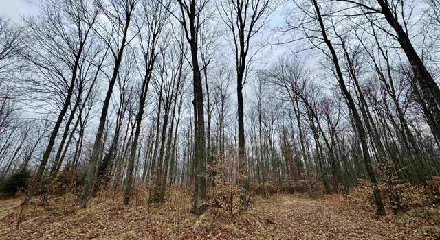 Photo of TBD North Sleshinger Grade 80 Trl, Hermansville, MI 49870