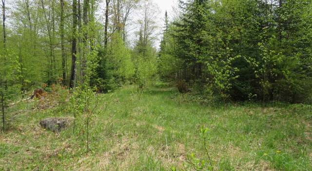 Photo of TBD Section 16 Rd, Covington Township, MI 49919