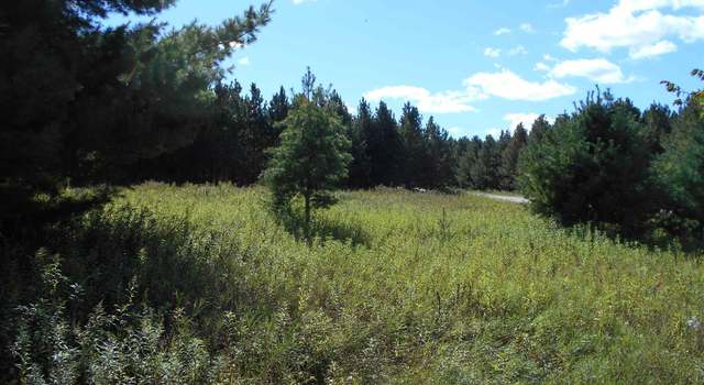 Photo of TBD County Road 436 Rd, Gulliver, MI 49840