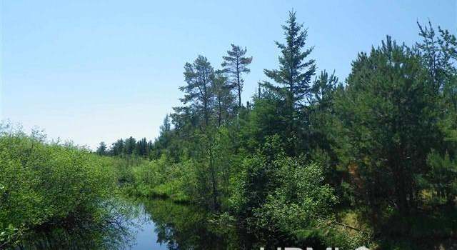 Photo of 50 +/- Acres Walstroms Rd, Republic, MI 49879