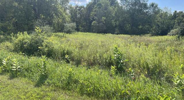 Photo of V/L V/l 3rd St, Edmore, MI 48829