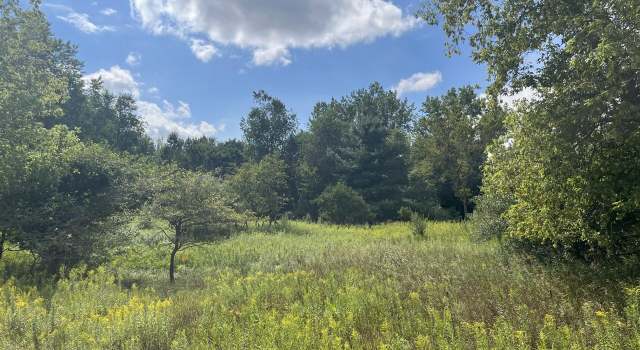 Photo of V/L V/l 3rd St, Edmore, MI 48829