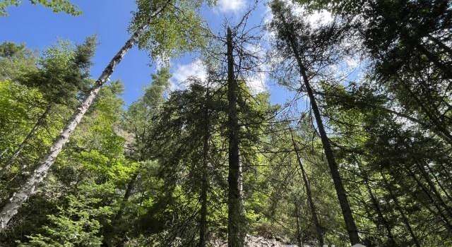 Photo of 20 Acres off Willow Creek Rd, Ishpeming, MI 49849