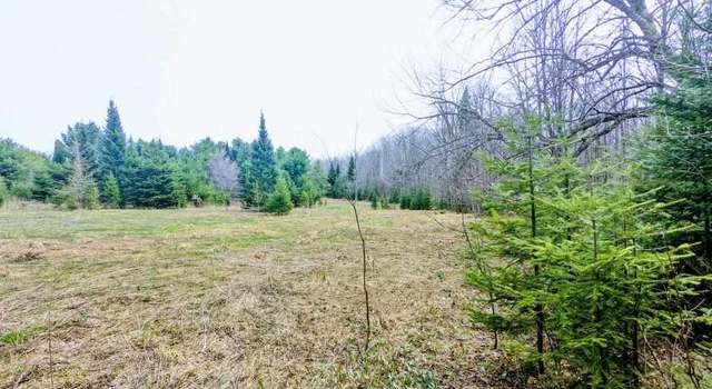 Photo of 40 acres Olson Loop Rd, Iron River, MI 49935