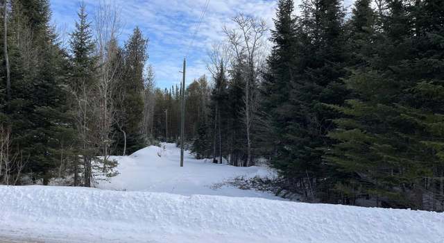 Photo of TBD Long Point Rd, Curtis, MI 49820
