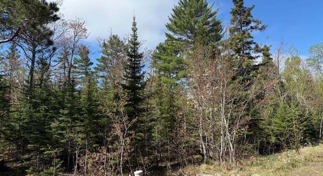 Photo of TBD 37 Harbor Coast Ln, Copper Harbor, MI 49918