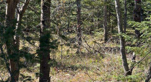 Photo of TBD 39 Harbor Coast Ln, Copper Harbor, MI 49918
