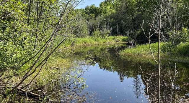 Photo of TBD Off Hwy M-64 Hwy, Ontonagon, MI 49953