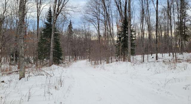 Photo of TBD Off Wide Waters Rd, Amasa, MI 49803