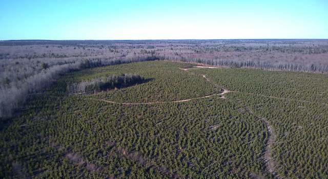Photo of TBD Parcel 2 16 Mile Lake Rd, Au Train, MI 49806