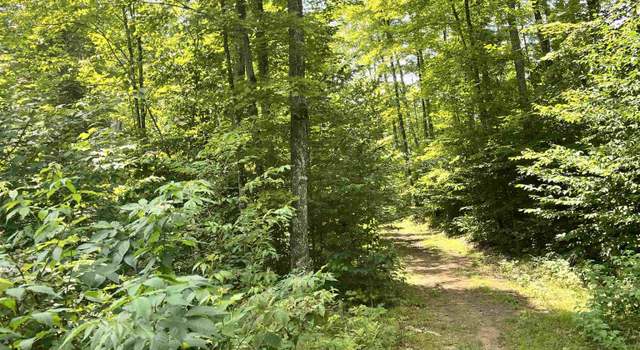 Photo of 17290 County Road 468 Rd, Newberry, MI 49868