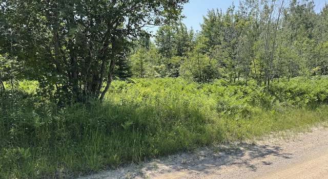 Photo of TBD 10 Acres Webb Rd, Grand Marais, MI 49839