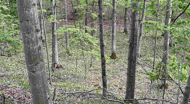 Photo of 42.5 AC 42.5 Ac 9.5 Road Rd, Garden, MI 49835