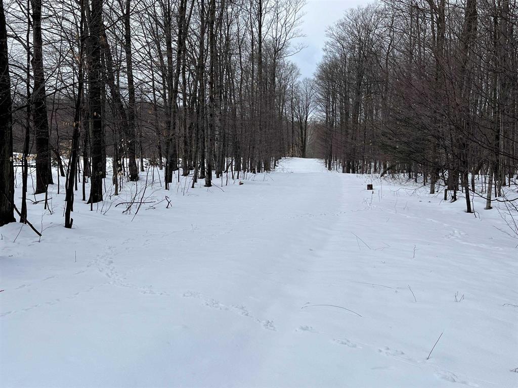S Benzonia, Empire Twp, MI 49630 MLS 78080015114 Redfin