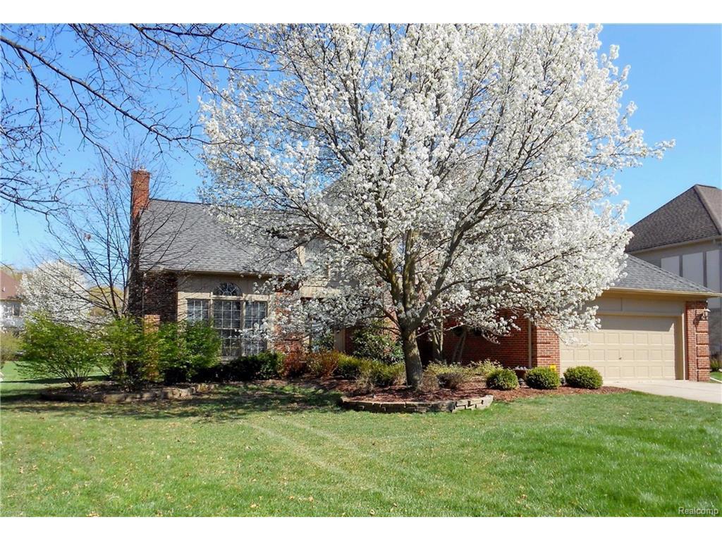 lacey burdick white pages rochester ny lacey burdick white pages rochester ny