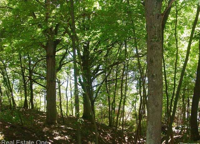 Property at L3 Addaleen Dr, Highland Charter Township, MI 48357