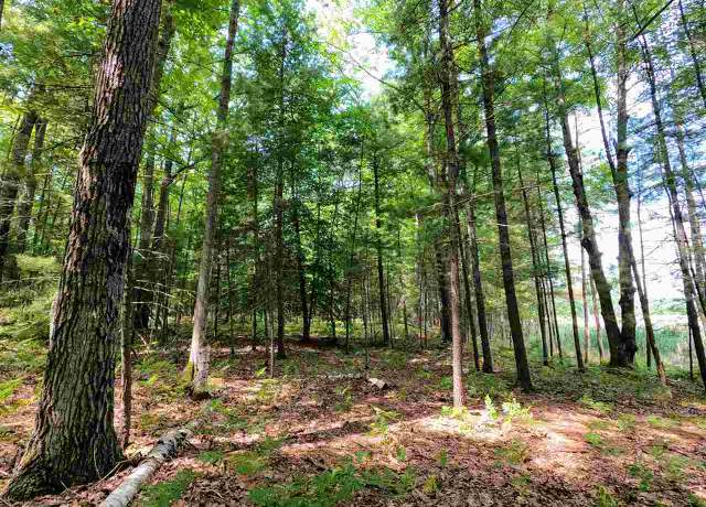 Property at 864 SE Blue Heron Dr, Kalkaska, MI 49646