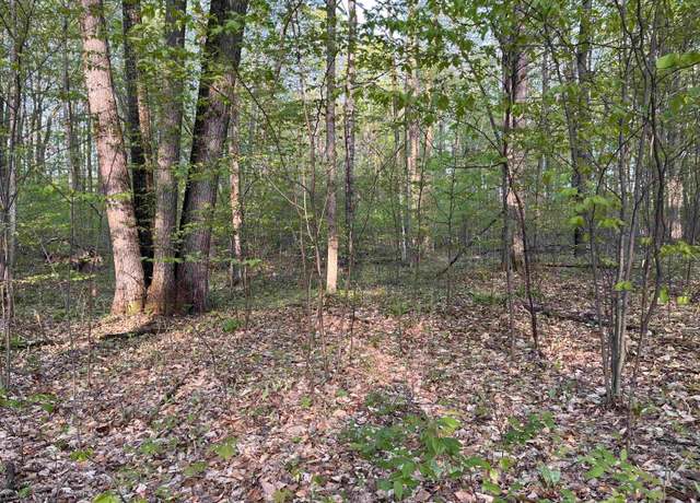 Property at 000 Par-king Dr, Bellaire, MI 49615