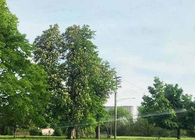 Property at 2960 Vermont St, Detroit, MI 48216