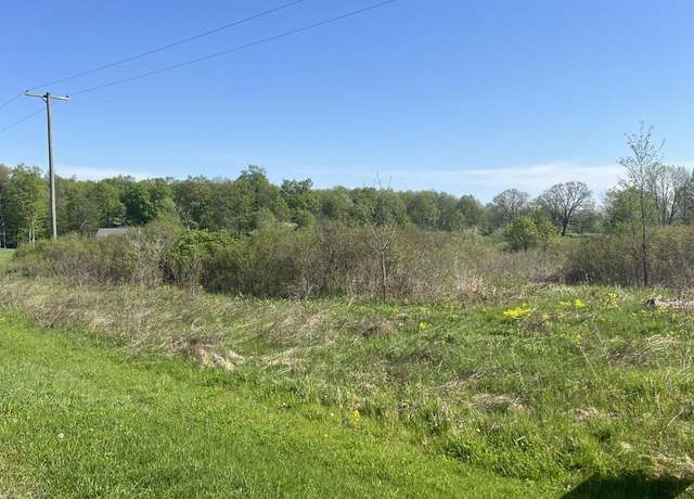 Property at VL Turtle Lake Rd, Rich Township, MI 48461