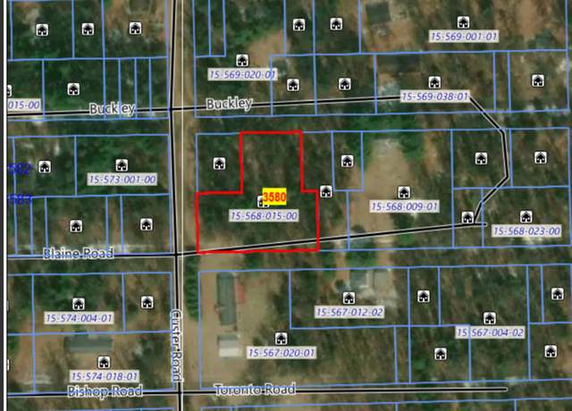 Property at 128 W Blaine, Idlewild, MI 49642
