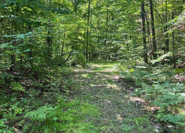 Property at 211 Logging Trl, Leroy, MI 49655