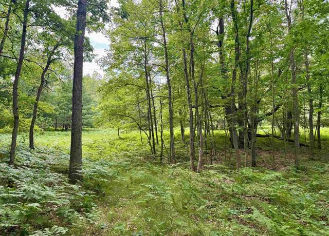 Property at Parcel M Rosted Rd, Lake City, MI 49651