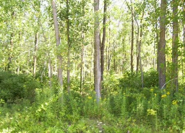 Property at N/A Ponderosa Ln, Au Gres, MI 48703