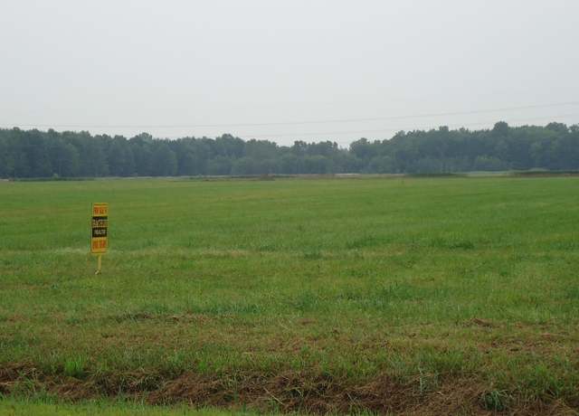 Property at V/L Mckinley Rd, China Township, MI 48054
