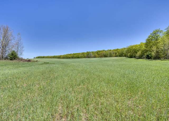 Property at 8010 E Horn Rd, Lake Leelanau, MI 49653