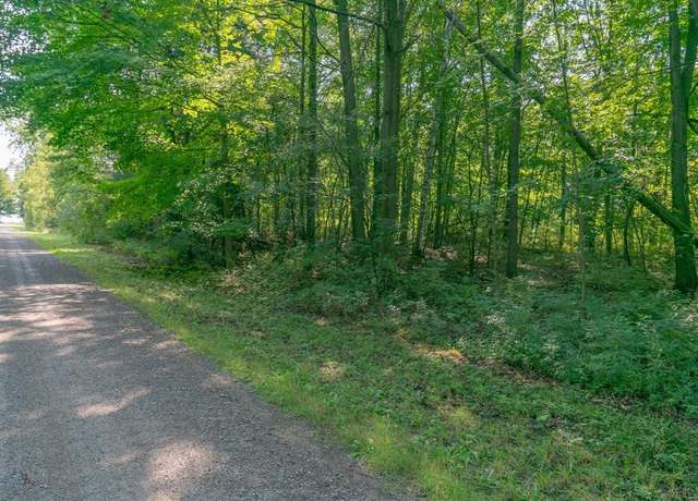 Property at 00 Schott Rd, Harbor Beach, MI 48441